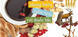 Món ăn bài thuốc chữa đau khớp