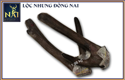 Nhung Nai tươi nguyên nhánh -100gr