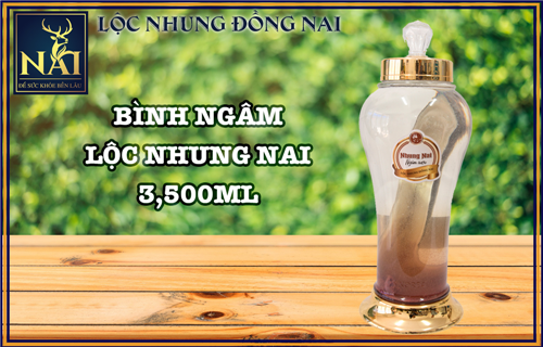 Lộc Nhung Đồng Nai - Nhung Hươu Tươi, Nhung Nai Tươi